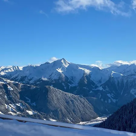 Alpine Pasture In The Zillertal Mountains